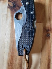 Spyderco salt steel for sale  Fort Lauderdale