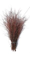 Birch twigs branches for sale  YATELEY