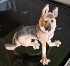 Country artists breed for sale Country artists breed for sale  HALIFAX