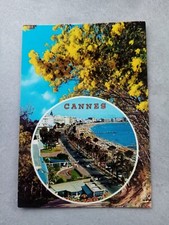 Cpm cannes d'occasion  Expédié en Belgium