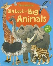Usborne big book for sale  Montgomery