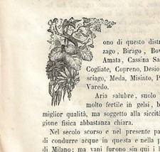 Stampa antica capolettera usato  Lecco
