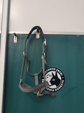Head collar horse for sale  BANGOR