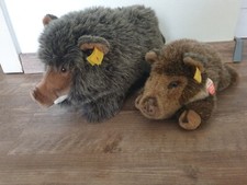 Steiff wildschwein bora gebraucht kaufen  Büchen