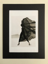 Herb ritts stampa usato  Milano
