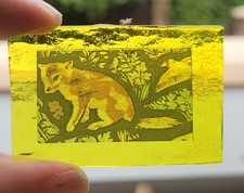 fox cub for sale  BATTLE