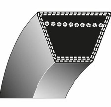 Cinghia trapezoidale rasaerba usato  Ficarolo