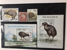 Steckkarte vogel kiwi gebraucht kaufen  Velten