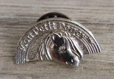 Pin petit poney d'occasion  Saint-Égrève