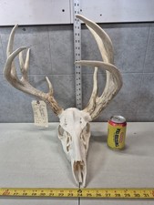 Freak point 137 for sale  Valley City