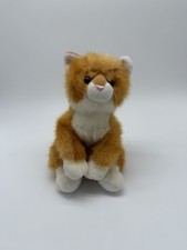 Orange tabby cat for sale  Waterbury