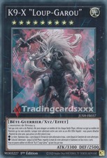 Loup garou sr d'occasion  France