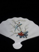 Parrots parakeets ringneck for sale  Lexington