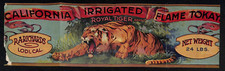 Royal tiger brand for sale  Norwalk