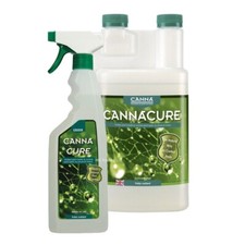 Cure spider mite for sale  BIRMINGHAM