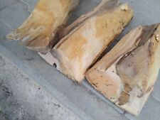 Birkenstamm birkenholz birkens gebraucht kaufen  Grattersdorf