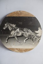L68 tavola ippica usato  Due Carrare