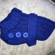 Chihuahua puppy blue for sale  WALLSEND