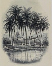 1880 engraved victorian for sale  Holland