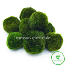 10x mooskugel moosball gebraucht kaufen  Neustadt/Dosse