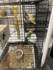 Birdy babble ball for sale  LONDON