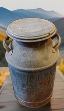 Antique farm metal for sale  Winsted