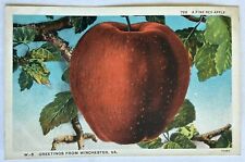 Red apple. greetings for sale  Bridgeville