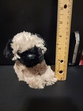 Chosun pug puppy for sale  Englewood