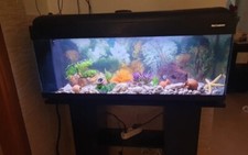 Acquario usato  Taranto