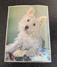 Dufex foil print for sale  CAMBRIDGE