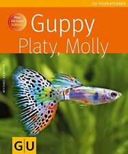 Guppy platy molly d'occasion  France