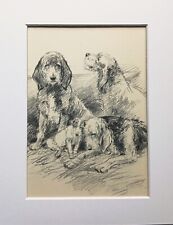 Otterhound dog vintage for sale  NORWICH