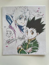 Hunter hunter hxh usato  Verona
