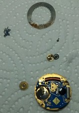 Bertolucci watch quartz for sale  Smyrna