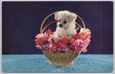 Cartão postal vintage de cachorro poodle francês animal, usado comprar usado Cartão postal vintage de cachorro poodle francês animal, usado comprar usado  Enviando para Brazil