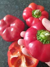 Flat red bell for sale  PORTSMOUTH