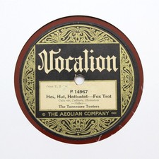 Tennessee tooters hot for sale  NUNEATON