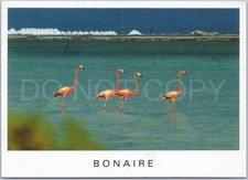 Artistic vintage postcard for sale  UK
