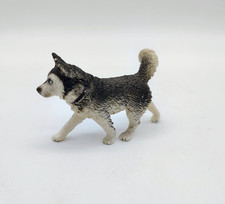 husky puppy female for sale husky puppy female for sale Greenfield
