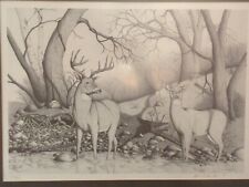 Incredible buck doe for sale  Minneapolis