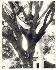 USA BRAZIL 1971 Sao Paulo Luis Carlos Martins Live in a tree America Photo comprar usado  Enviando para Brazil