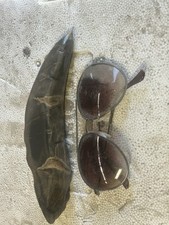 Sale rex fossils for sale  Clearfield