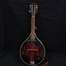Stagg acoustic electric for sale  ROMFORD