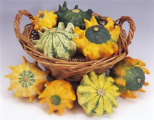 Vegetable gourd ten for sale  HIGH WYCOMBE