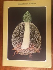 Rare merveilles nature d'occasion  Port-la-Nouvelle