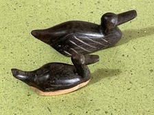 Oiseau couple petits d'occasion  La Seyne-sur-Mer