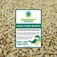 Gardenersdream sunflower heart for sale  UK
