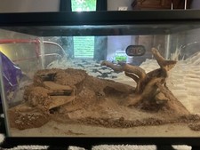 Gallon terrarium made for sale  Easley