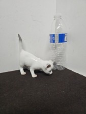 White siamese kitten for sale  Lawrenceville