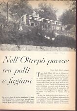 Nell oltrepo pavese usato  Trento